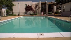 Walt cleans the pool.