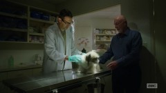 Mike goes to see his veterinarian