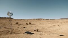 Flashback to Jimmy and Mike walking through the desert